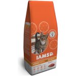 Iams for Vitality Cat Adult Lamb 10 kg – Zboží Mobilmania