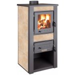 Pro-Termo Alpina Boiler 24 kW béžová – Hledejceny.cz