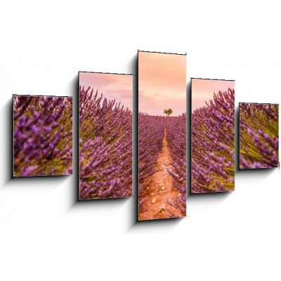 Obraz 5D pětidílný - 125 x 70 cm - Dramatic sunset landscape. Tree in lavender field at sunset in Provence, France – Zbozi.Blesk.cz