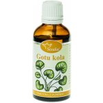 Gotukola tinktura z pupenů 50 ml – Hledejceny.cz
