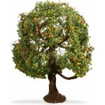 Noch Jabloň – Zboží Dáma