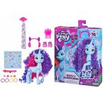Hasbro MLP My Little Pony Bridlewoodstock Styl dne MISTY BRIGHTDAWN – Zbozi.Blesk.cz