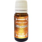 Medistar Máta peprná 100% přírodní esenciální olej 100 ml – Hledejceny.cz