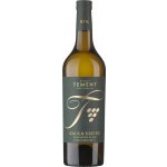 Tement Sauvignon Kalk und Kreide Suché bílé 2024 12,5% 0,75 l (holá láhev) – Hledejceny.cz