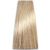 Barva na vlasy ProSalon Professional Intensis Color Art 10/0 100 g