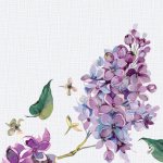 Duni Ubrousek Sweet Butterfly Lilac Duni soft 12ks 40x40cm – Hledejceny.cz