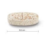 Jamieson Silybum marianum Ostropestřec mariánský 90 tablet – Hledejceny.cz