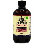 The Gutsy Captain Kombucha malina bio 400 ml – Zbozi.Blesk.cz