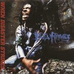 Busta Rhymes - When Disaster Strikes LP – Hledejceny.cz