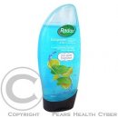 Radox Men Invigorate Mint sprchový gel 250 ml