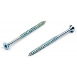Univerzální vrut do dřeva 6x100/60 TORX zinek bílý, částečný závit – Hledejceny.cz