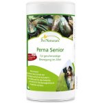 PerNaturam Perna Junior 100 g – Hledejceny.cz