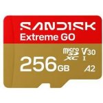 Sandisk Micro SDXC Extreme GO 256GB SDSQXGN-256G-GN6MN – Zboží Živě