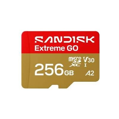 Sandisk Micro SDXC Extreme GO 256GB SDSQXGN-256G-GN6MN – Zboží Živě