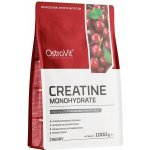 Ostrovit Creatine monohydrate 1000 g – Zboží Dáma