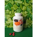 Ondřej Ulrich Kurkumin + Piperin Plus 120 tablet – Hledejceny.cz