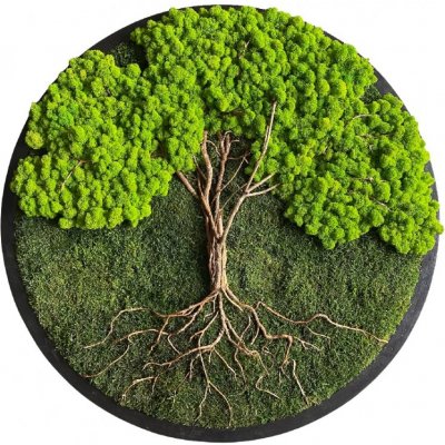 WOODILO Mechový kulatý obraz 320| kombinace mechů | Strom života s kořeny Barva rámu: Bílá, Průměr obrazu: ø 30 cm – Hledejceny.cz