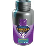 Altervet Cartilan Complete 100 tbl – Zbozi.Blesk.cz