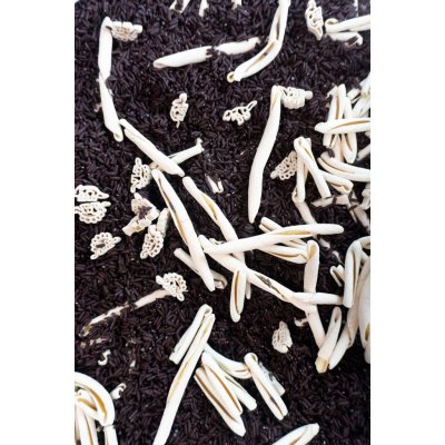 Playsense Paleontolog - 500g Senzorická pomůcka – Zboží Dáma