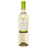 Brise de France Sauvignon suché francouzské bílé 12,5% 0,75 l (holá láhev) – Hledejceny.cz