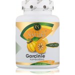 GoldenNature Garcinie Kambodžská 50% HCA 100 kapslí – Hledejceny.cz