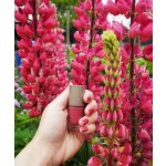 Bo.ho Lak na nehty 54 Prose 6 ml – Hledejceny.cz