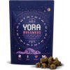 Pamlsek pro psa YORA Dreamers hmyz bylinky 100 g