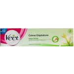 Veet depilační krém Bambucké Máslo & Lilie suchá pokožka 100 ml – Sleviste.cz