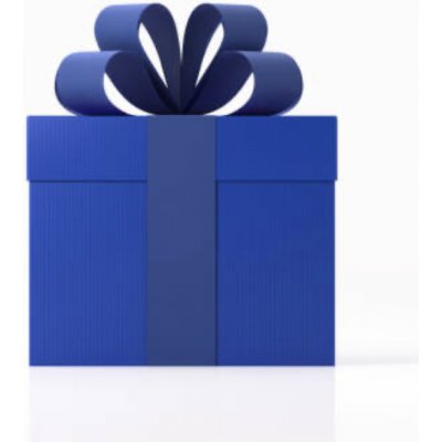 Přednostní odbavení – Zboží Dáma