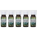 Saloos esenciální olej Pomeranč červený 50 ml – Zboží Dáma