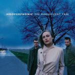 Hooverphonic: Magnificent Tree CD – Hledejceny.cz