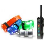 Dogtra elektronický výcvikový obojek 4502 Edge – Hledejceny.cz