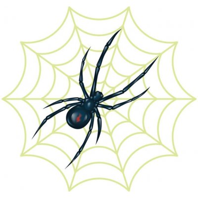 Pavouk s pavučinou svítící ve tmě nalepovací tetování