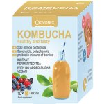 Ovonex Kombucha 10 x 400 ml – Zboží Mobilmania