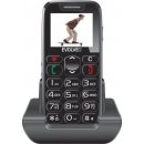 Mobilní telefon Evolveo EP-500 EasyPhone