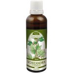 Naděje T38 Schizandra klanopraška 50 ml – Hledejceny.cz