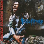 Busta Rhymes - When Disaster Strikes Silver LP – Hledejceny.cz