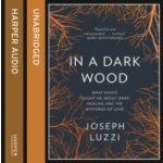 In a Dark Wood: What Dante Taught Me About Grief, Healing, and the Mysteries of Love - Luzzi Joseph, Adamson Rick – Sleviste.cz