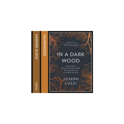 In a Dark Wood: What Dante Taught Me About Grief, Healing, and the Mysteries of Love - Luzzi Joseph, Adamson Rick – Zboží Mobilmania