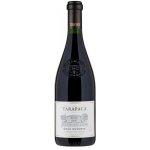 Tarapacá Cabernet Sauvignon Gran Reserva 2022 14% 0,75 l (holá láhev) – Zboží Dáma