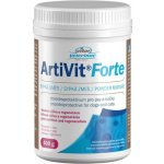 Vitar Veterinae ArtiVit Forte prášek 600 g – Sleviste.cz