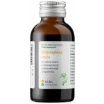 Dědek kořenář Zlatobýlová směs ULK 100 ml – Hledejceny.cz