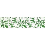 E-shop24 Bordura papírová Kaštan zelený - šířka 5cm x délka 5m – Zboží Dáma E-shop24 Bordura papírová Kaštan zelený - šířka 5cm x délka 5m – Zboží Dáma