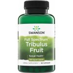 Swanson Full-Spectrum Tribulus Fruit 90 kapslí 500 mg – Hledejceny.cz
