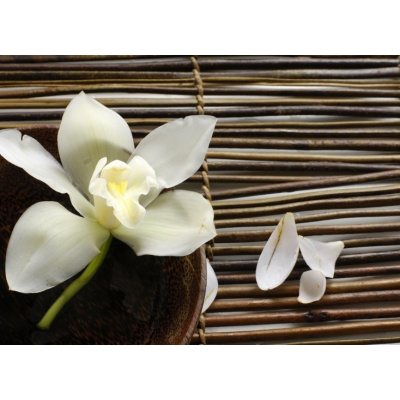 WEBLUX 14760003 Fototapeta plátno bowl of orchid miska orchideje okvětní lístek na bambusové rohoži rozměry 160 x 116 cm – Zbozi.Blesk.cz