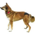 Trixie Hárací kalhotky deLuxe S/M – Zboží Mobilmania