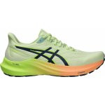 Asics GT-1000 13 Paris W 1012B748750 cool grey/safety yellow – Zboží Dáma