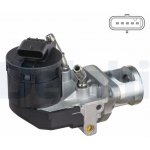 AGR-Ventil DELPHI EG10468-12B1 – Hledejceny.cz