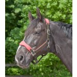 Waldhausen Ohlávka Premium Soft modrá – Zboží Dáma