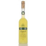 Pallini Limoncello 26% 0,5 l (holá láhev) – Zboží Mobilmania